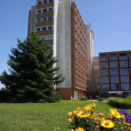 Molly Apartman
